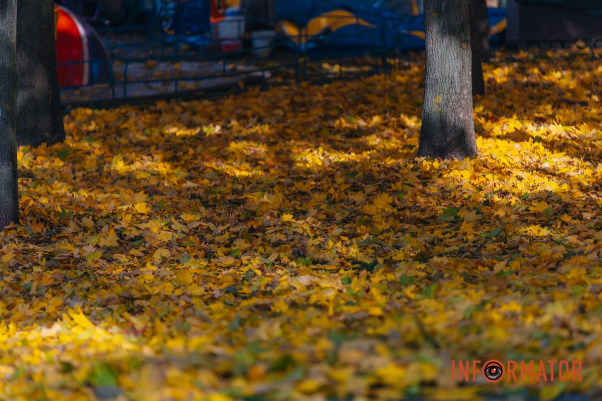 Идеи для ваших фотографий: улицы Днепра украсила невероятная осень 29