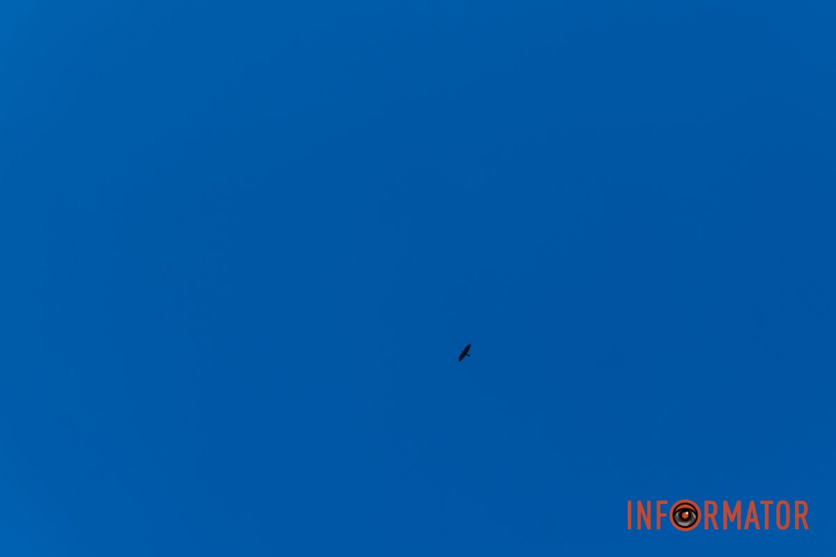 Идеи для ваших фотографий: улицы Днепра украсила невероятная осень 38