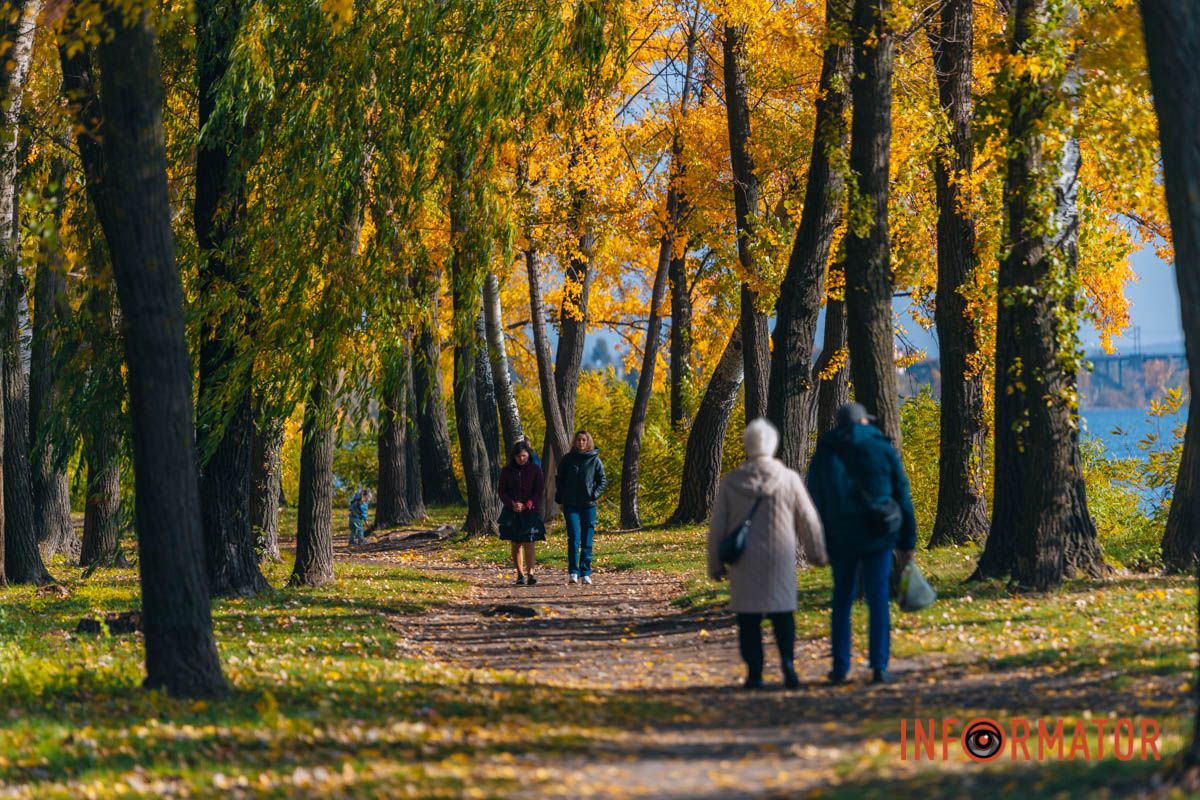 Идеи для ваших фотографий: улицы Днепра украсила невероятная осень 37
