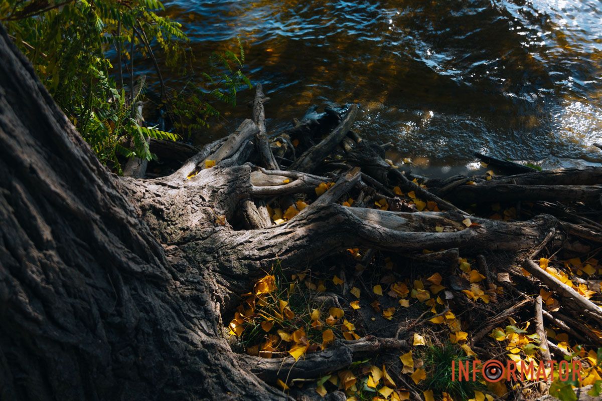 Идеи для ваших фотографий: улицы Днепра украсила невероятная осень 36