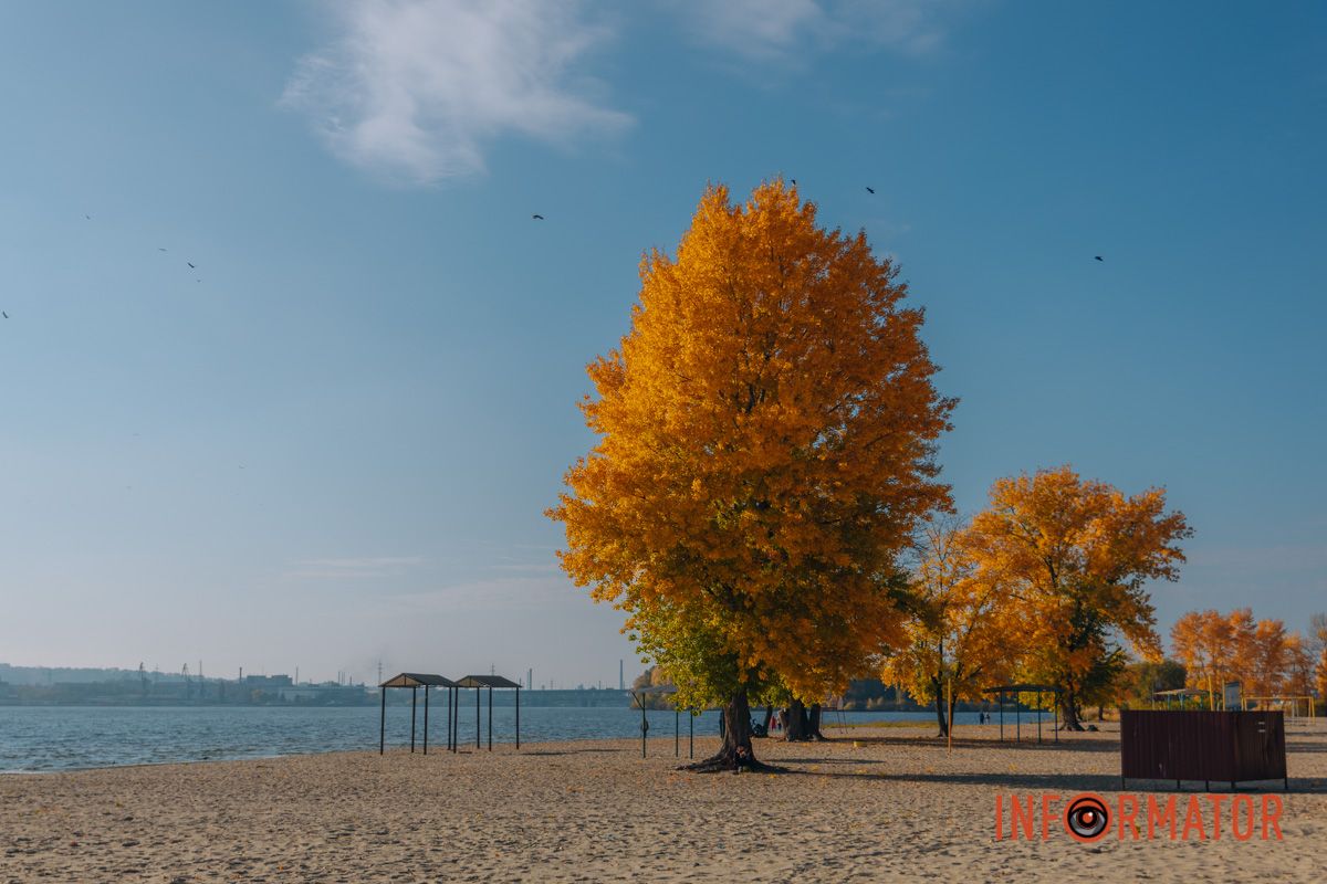 Идеи для ваших фотографий: улицы Днепра украсила невероятная осень 42