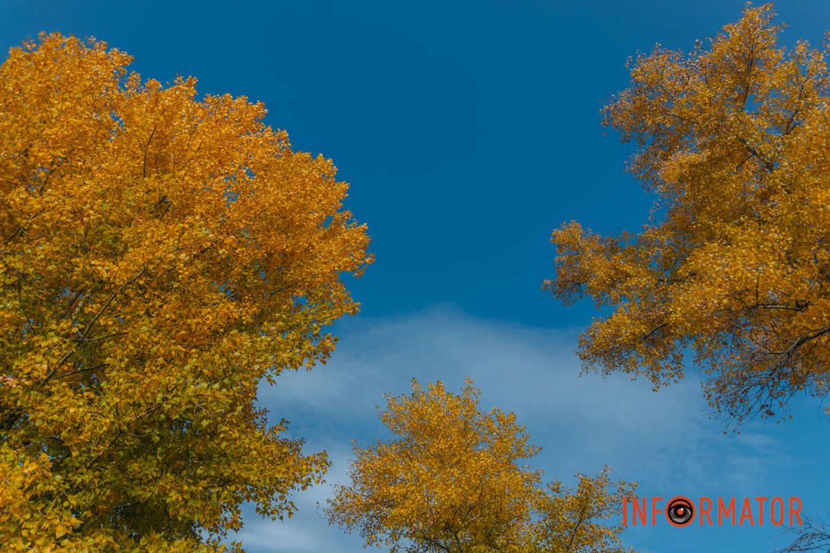 Идеи для ваших фотографий: улицы Днепра украсила невероятная осень 40