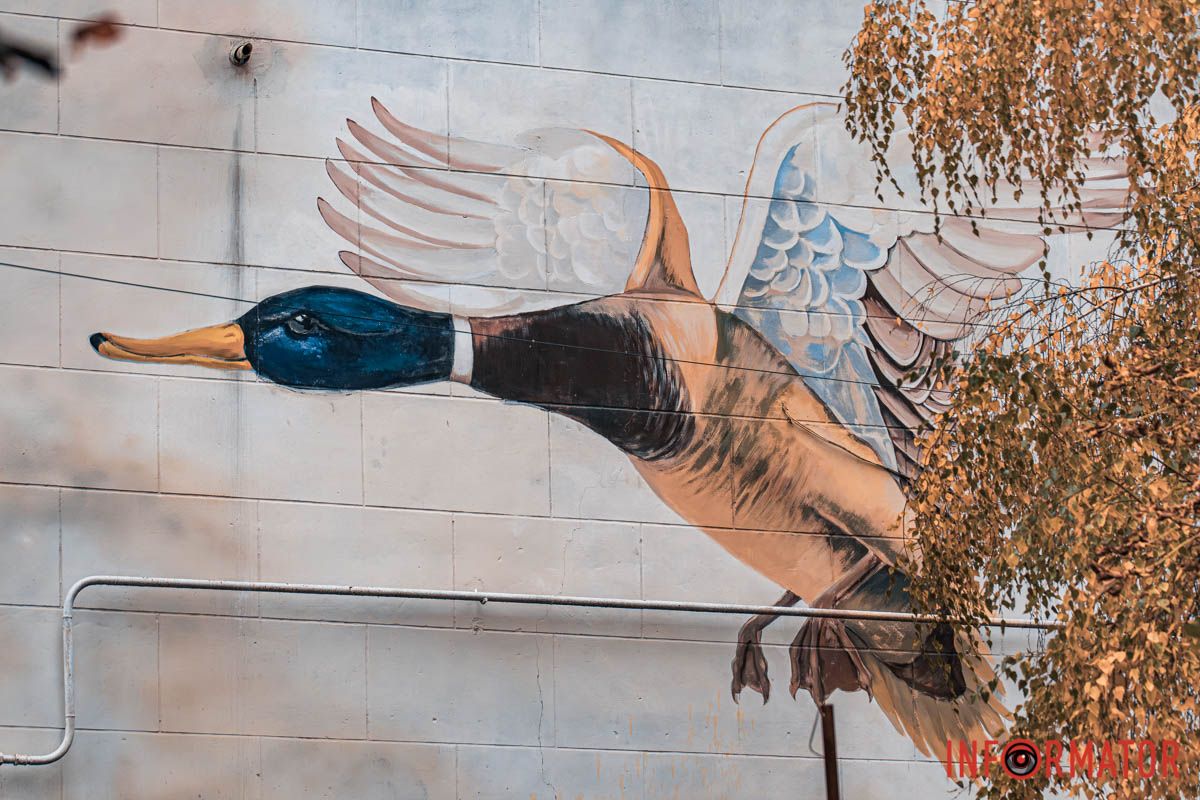 Как в Днепре выглядит парк Шевченко, покрытый золотистым одеялом осени 3