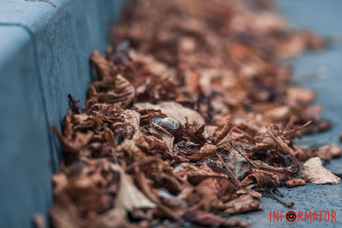 Как в Днепре выглядит парк Шевченко, покрытый золотистым 