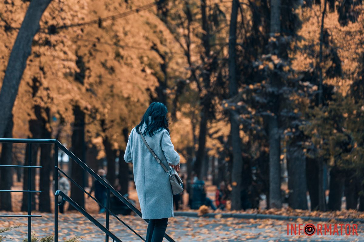 Как в Днепре выглядит парк Шевченко, покрытый золотистым одеялом осени 7