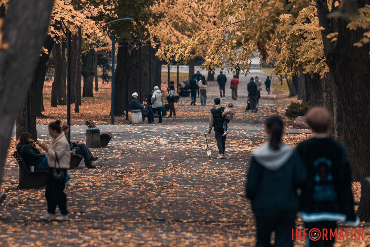 Как в Днепре выглядит парк Шевченко, покрытый золотистым одеялом осени 8
