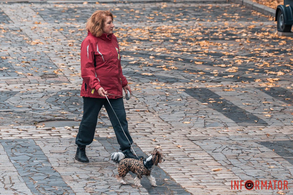 Как в Днепре выглядит парк Шевченко, покрытый золотистым одеялом осени 11