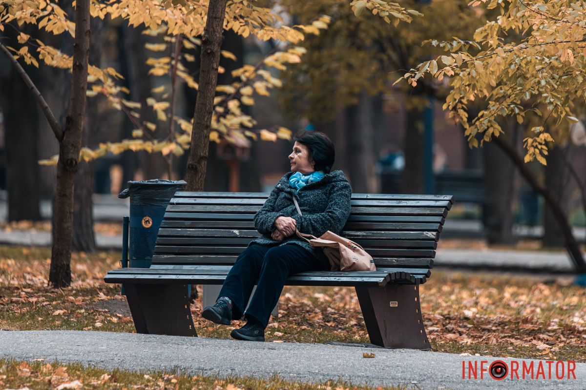 Как в Днепре выглядит парк Шевченко, покрытый золотистым одеялом осени 15