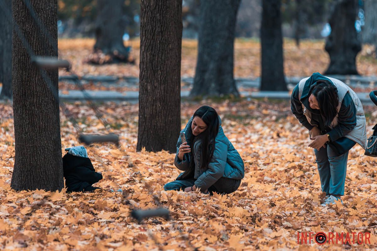 Как в Днепре выглядит парк Шевченко, покрытый золотистым 