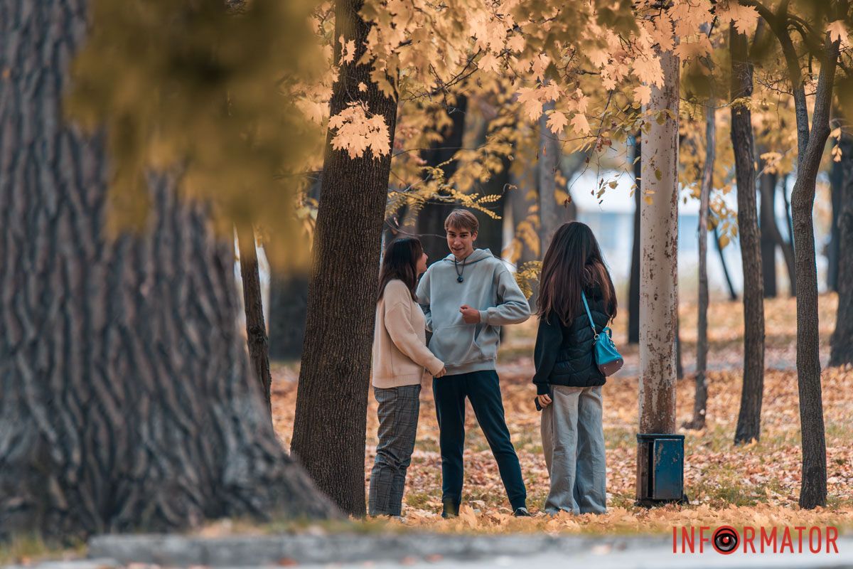Как в Днепре выглядит парк Шевченко, покрытый золотистым одеялом осени 34