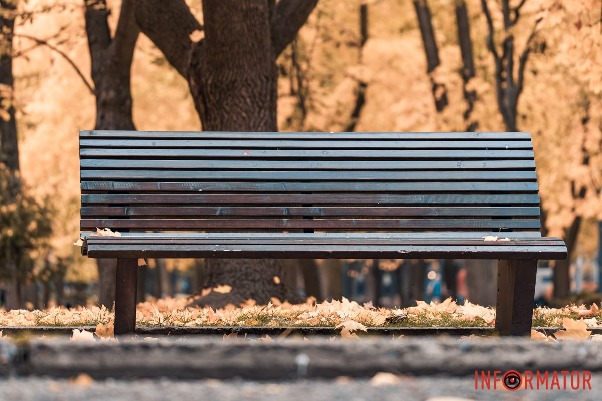 Как в Днепре выглядит парк Шевченко, покрытый золотистым одеялом осени 36