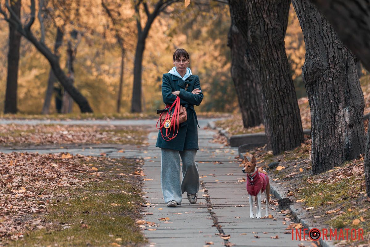 Как в Днепре выглядит парк Шевченко, покрытый золотистым одеялом осени 35
