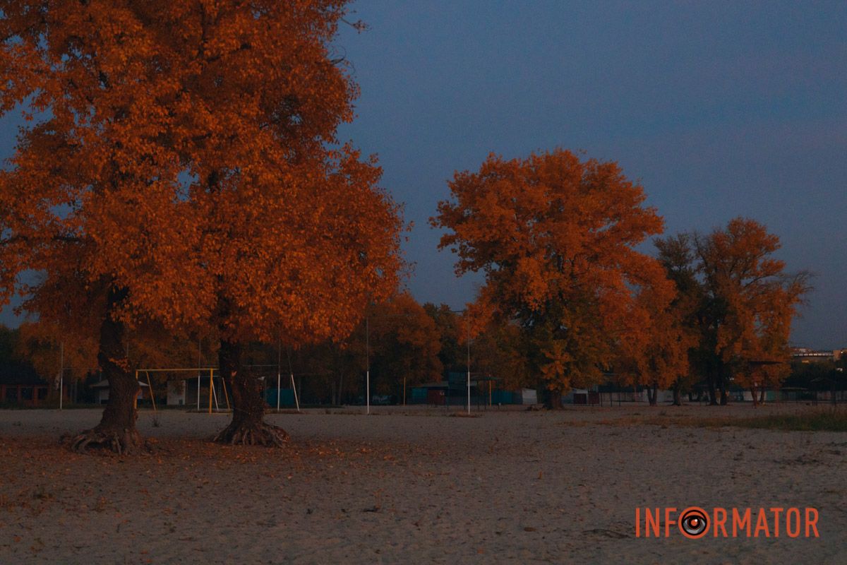 Куди їх путь-доріжка пролягла?