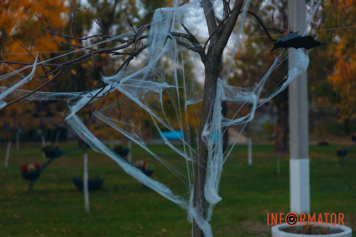 Дерева прикрасили павутиною 