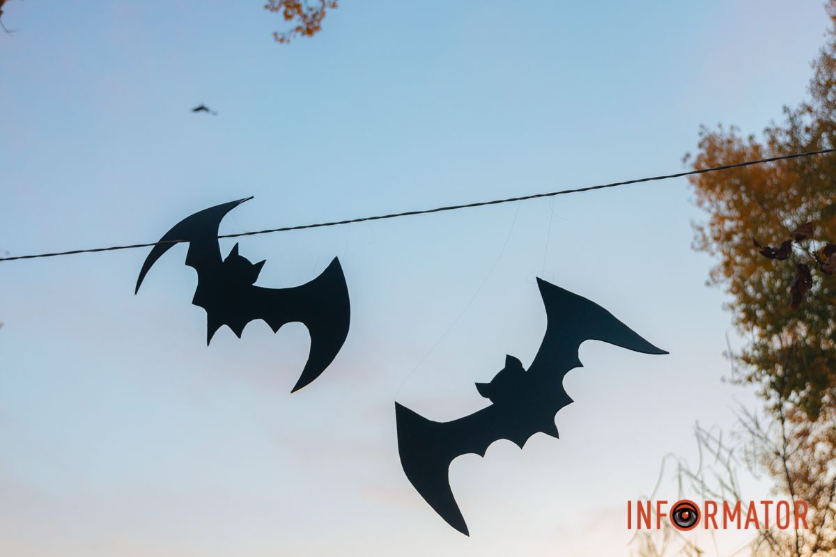 Летучі миші 