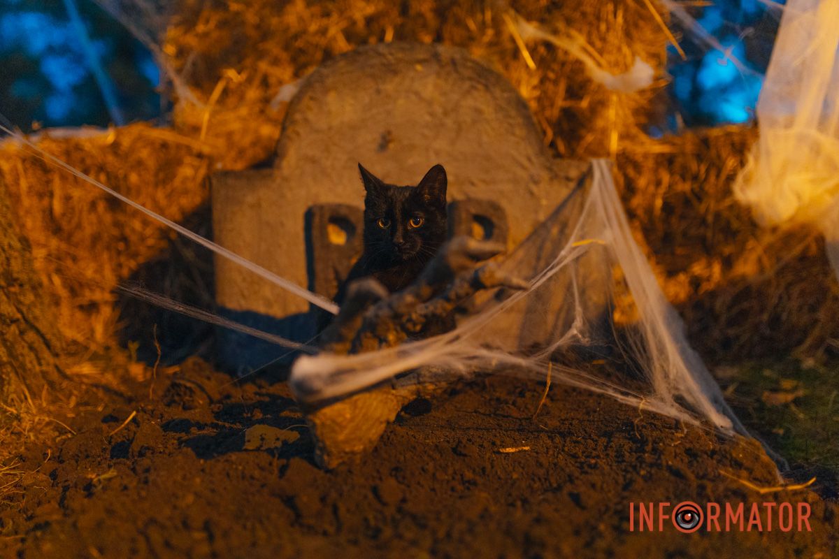 Як з мультфільму 