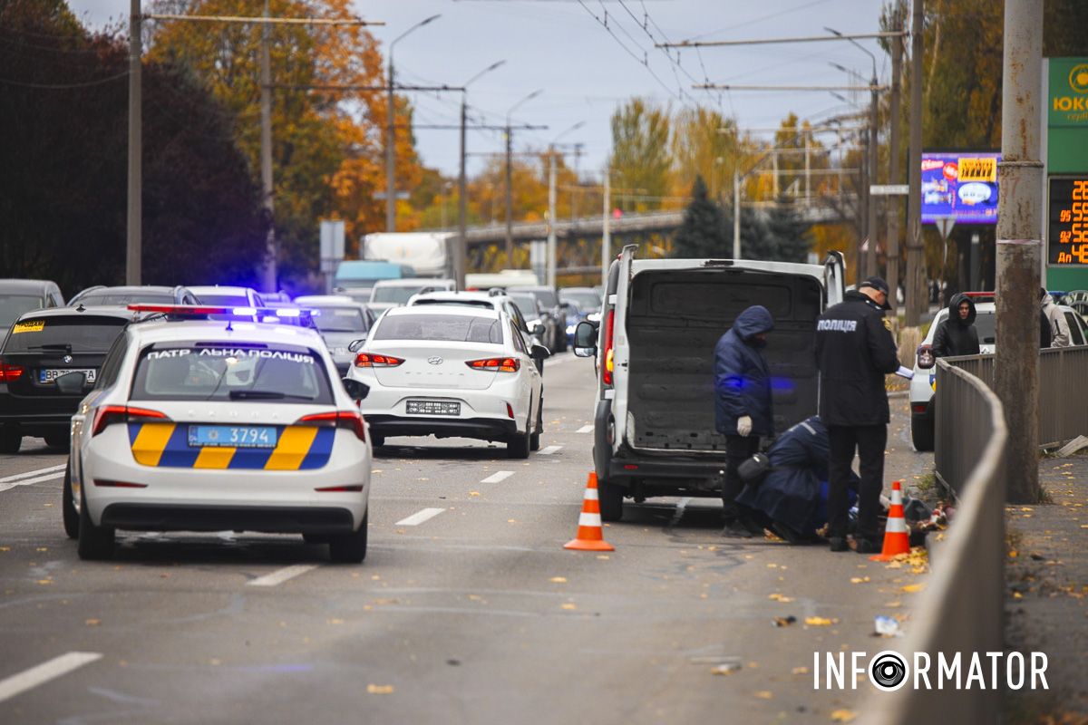 Автомобіль Hyundai збив бабусю з собакою