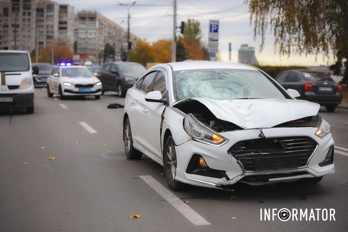 Мертва собака лежить на проїжджій частині.