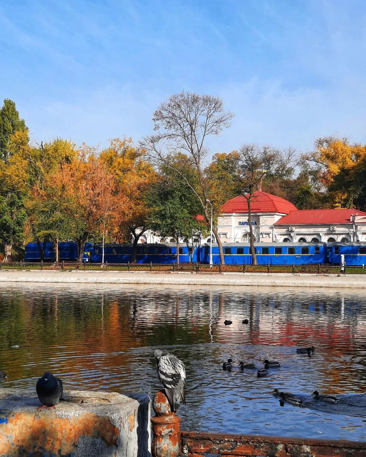 Фото: @photographer_andrey_moroz За вікном листопад: топ красивих світлин Дніпра з Instagram 3