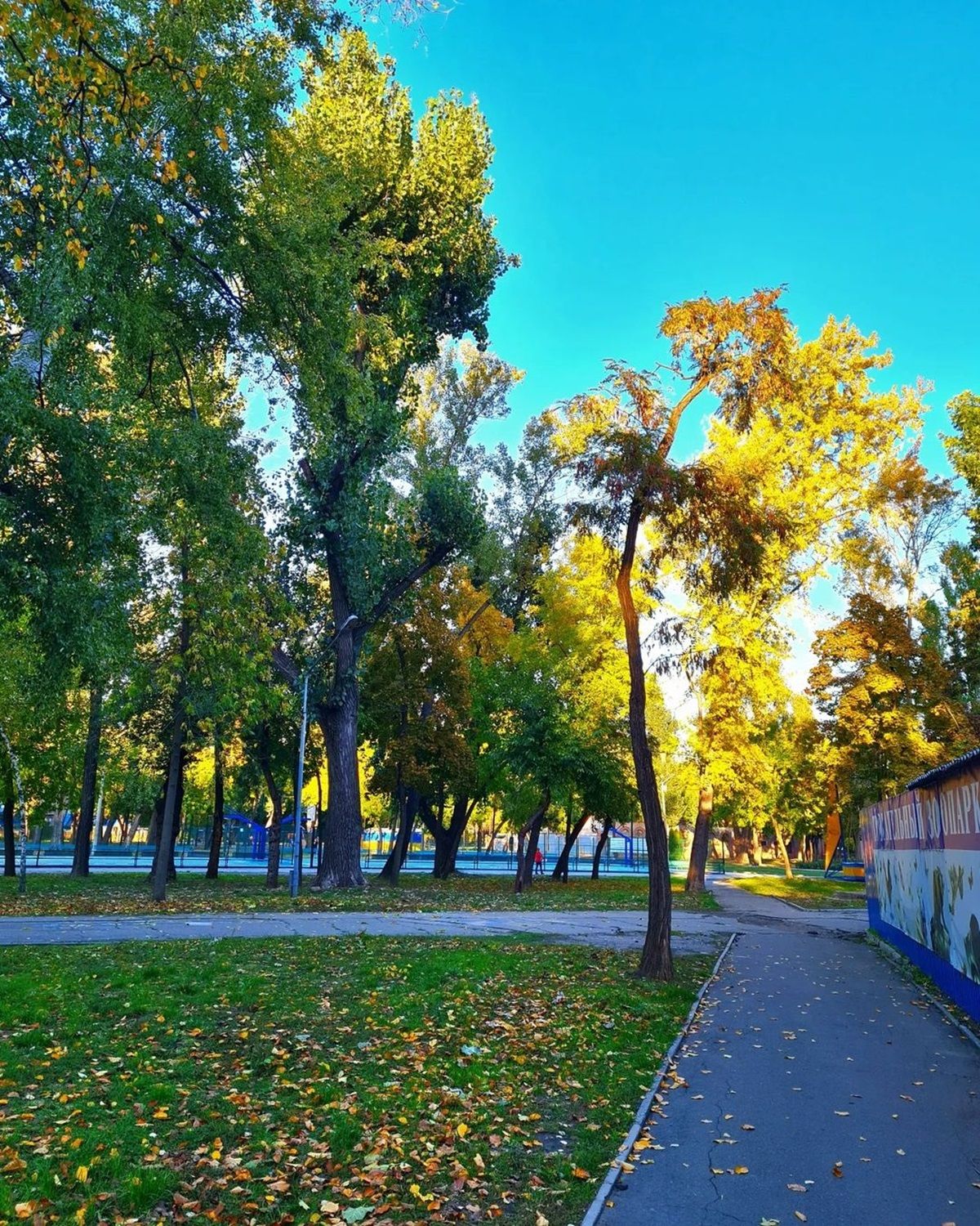 Фото: @world_thru_camera За вікном листопад: топ красивих світлин Дніпра з Instagram 8