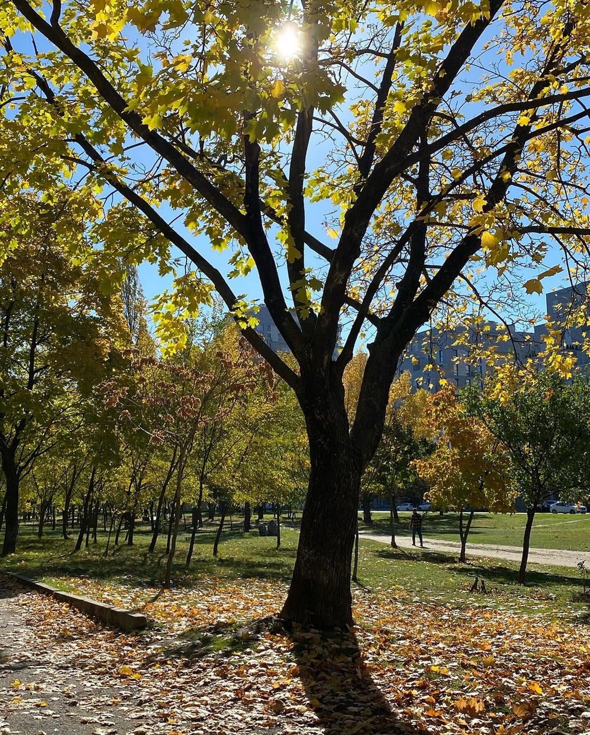 Фото: @oksimalaya Фото: @oksimalaya