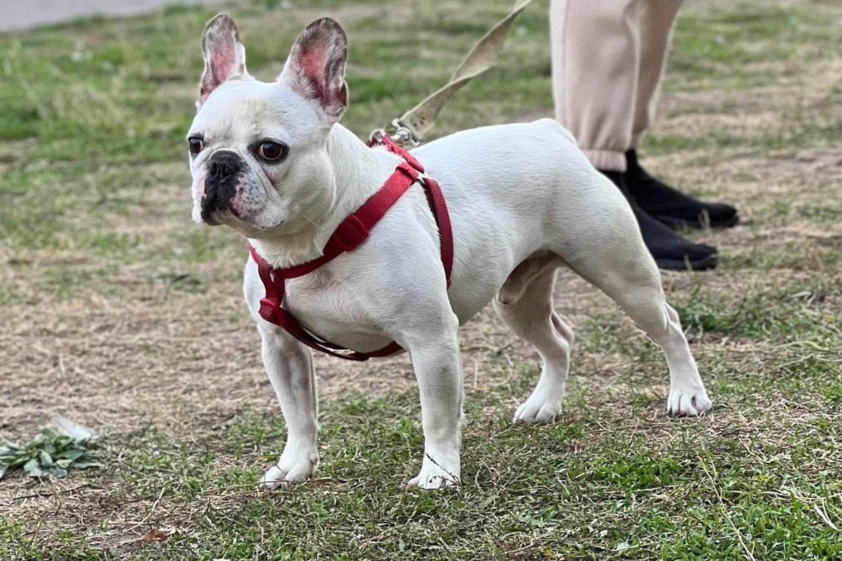 Оскар вимагає особливого підходу