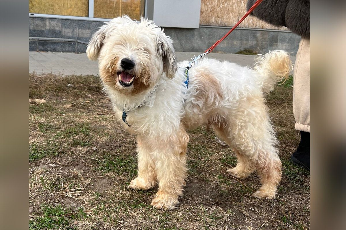 Джин навчився пізнавати світ по-новому
