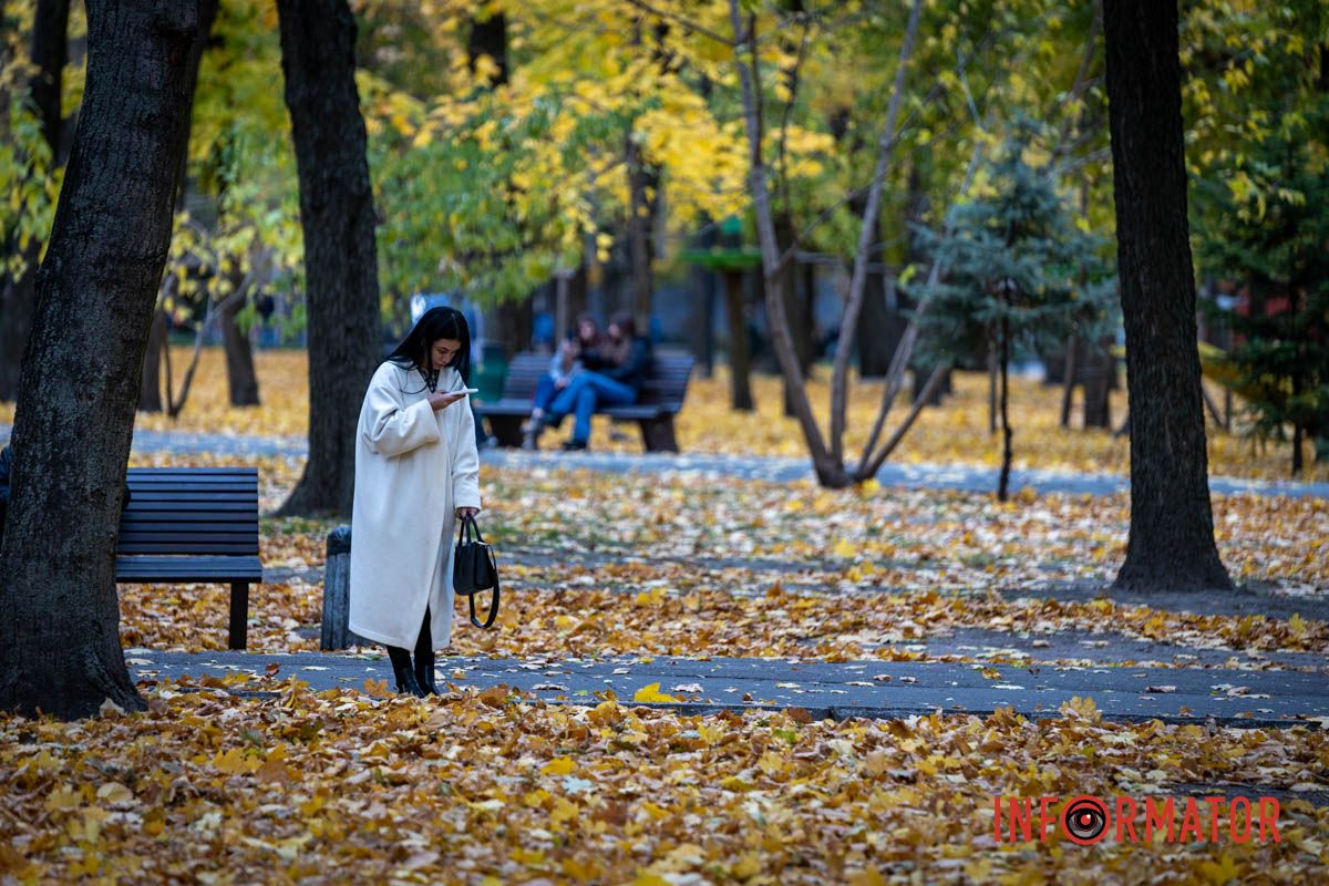 Фільмуйте моменти Останні теплі дні: у парк Шевченко у Дніпрі завітала «золота осінь» 4