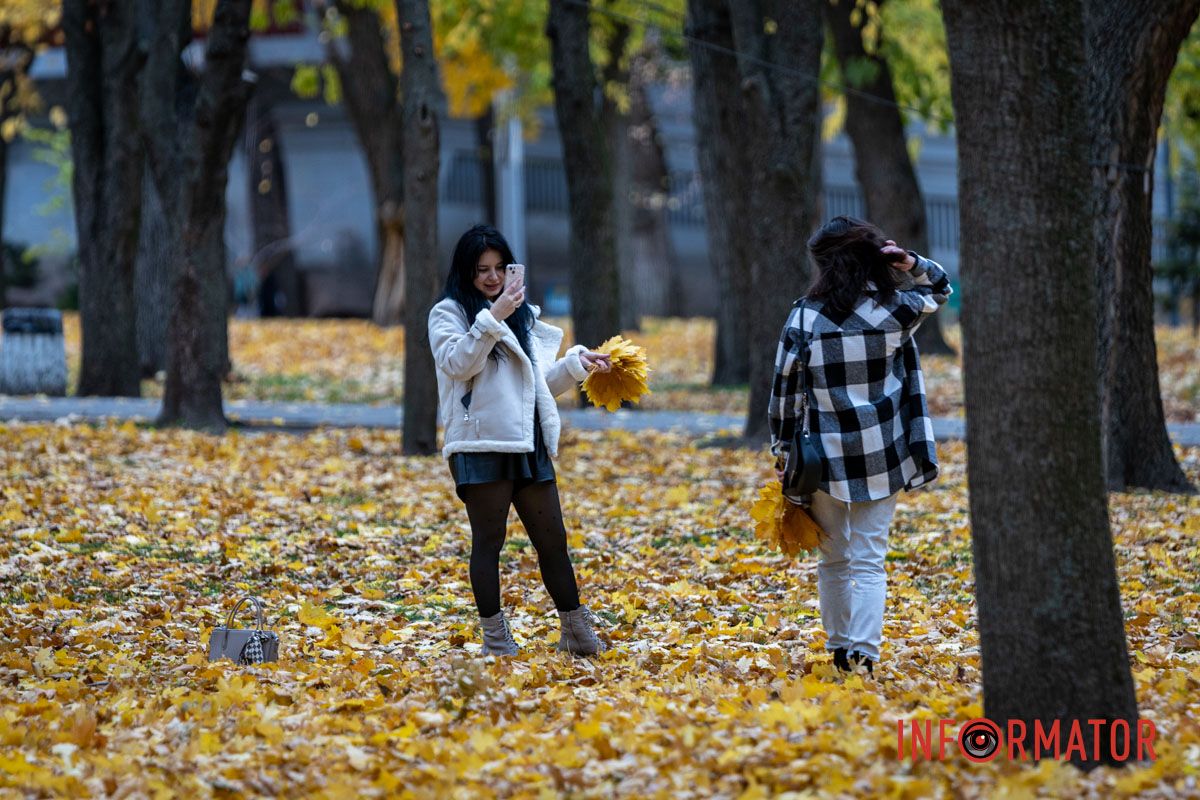 Неймовірна краса у парку Шевченка Останні теплі дні: у парк Шевченко у Дніпрі завітала «золота осінь» 7