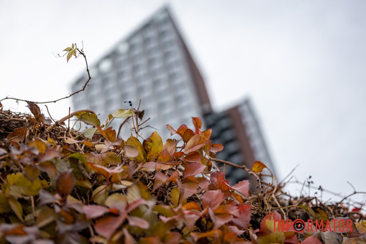 Кам'яні джуглі Дніпра Останні теплі дні: у парк Шевченко у Дніпрі завітала «золота осінь» 14