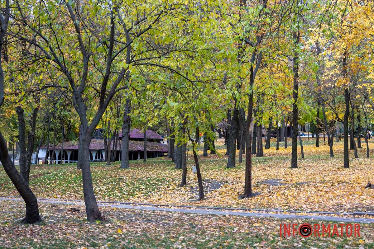 Осінь прикрасила парк\ Останні теплі дні: у парк Шевченко у Дніпрі завітала «золота осінь» 28