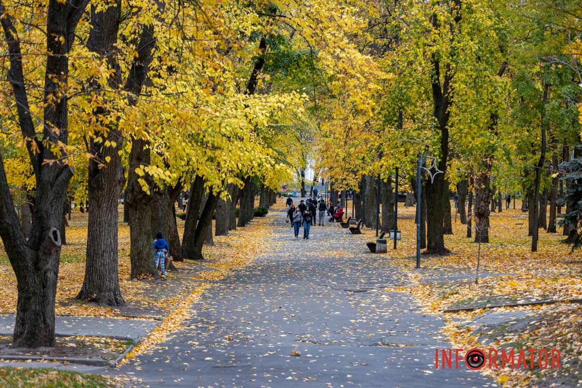 Алея у парку Шевченка Останні теплі дні: у парк Шевченко у Дніпрі завітала «золота осінь» 27