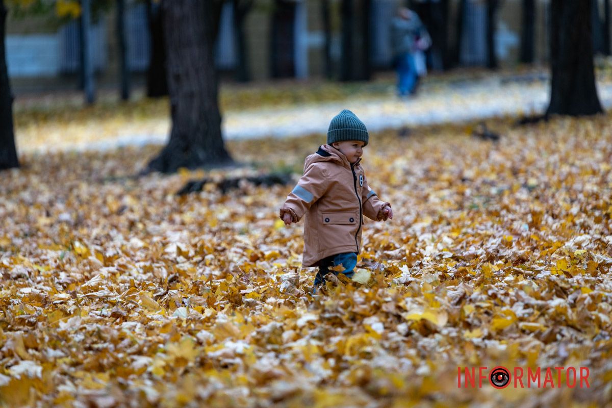 Пірнув у листя Останні теплі дні: у парк Шевченко у Дніпрі завітала «золота осінь» 25