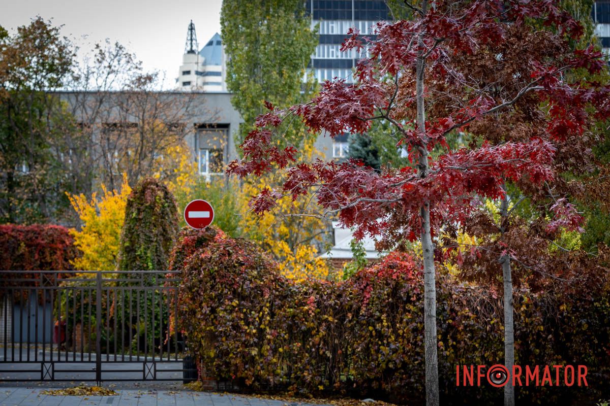 Хоч знак і стоп, однак осінь вже не зупинити Останні теплі дні: у парк Шевченко у Дніпрі завітала «золота осінь» 30