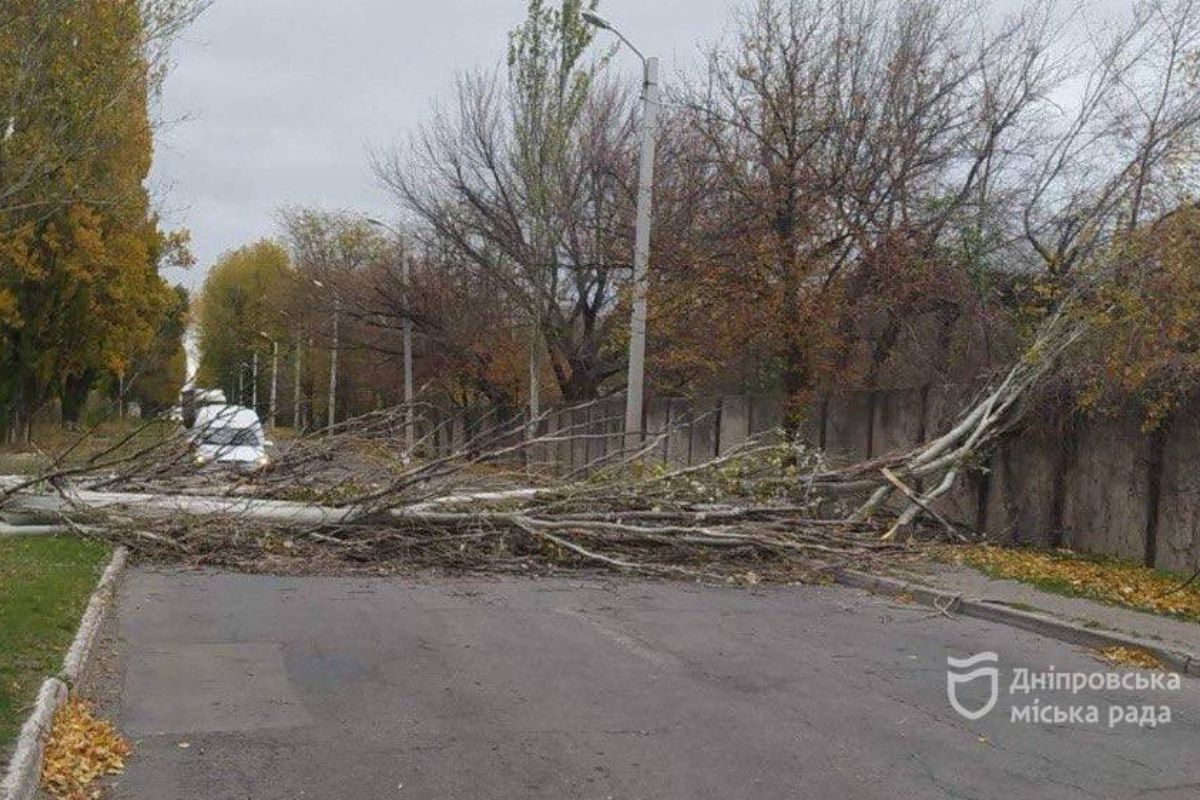 4 ноября в Днепре свирепствовала непогода 4 ноября в Днепре свирепствовало ненастье
