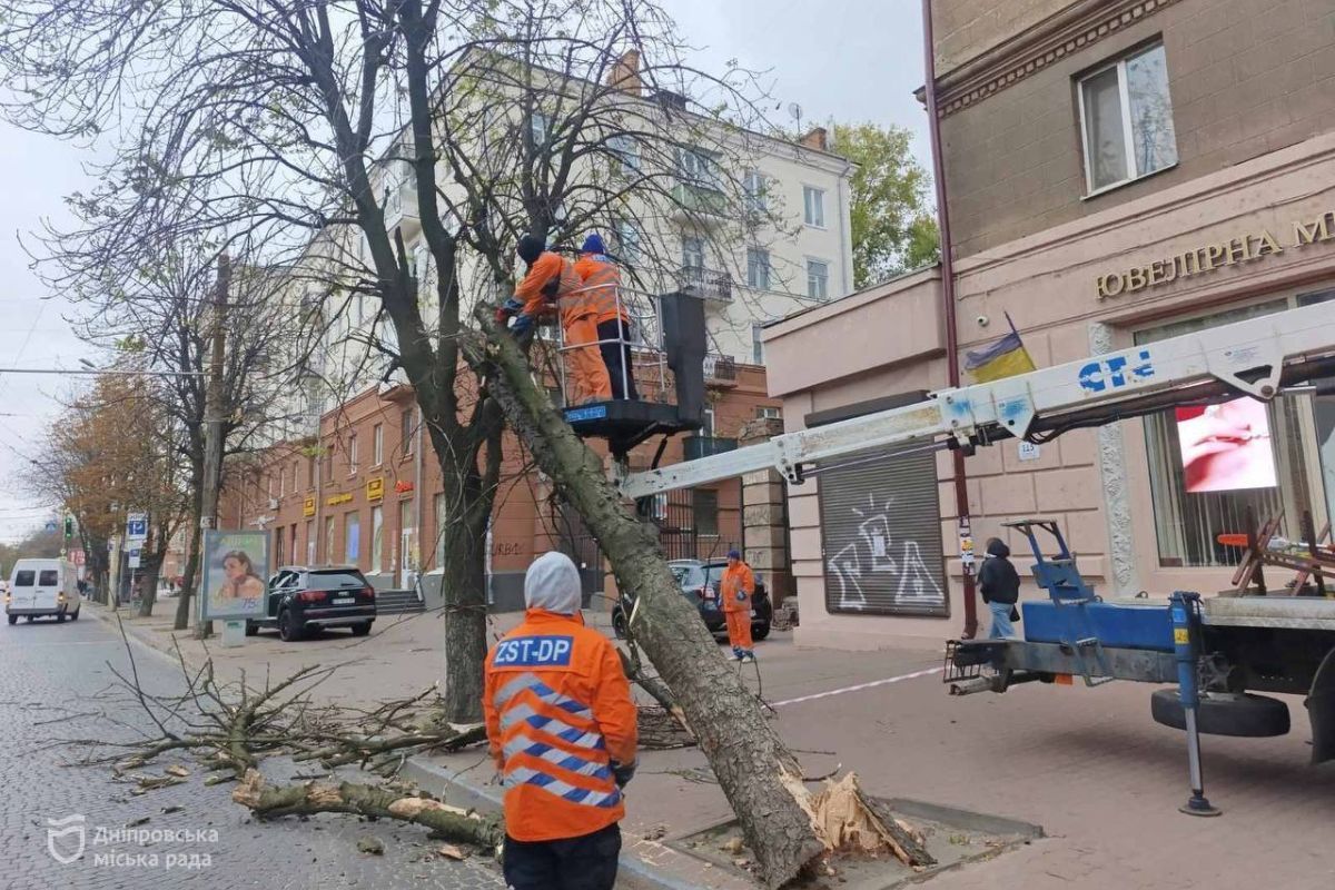 Коммунальщики получили более 40 заявок по деревьям и веткам, которые повалил шквальный ветер Коммунальщики получили более 40 заявок по деревьям и веткам, которые повалил шквальный ветер