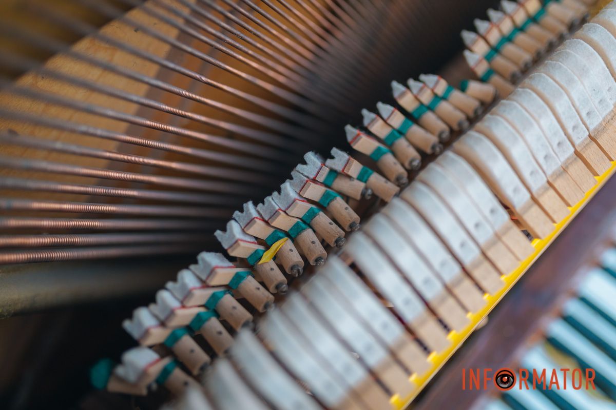 Фото: Денис Чубченко