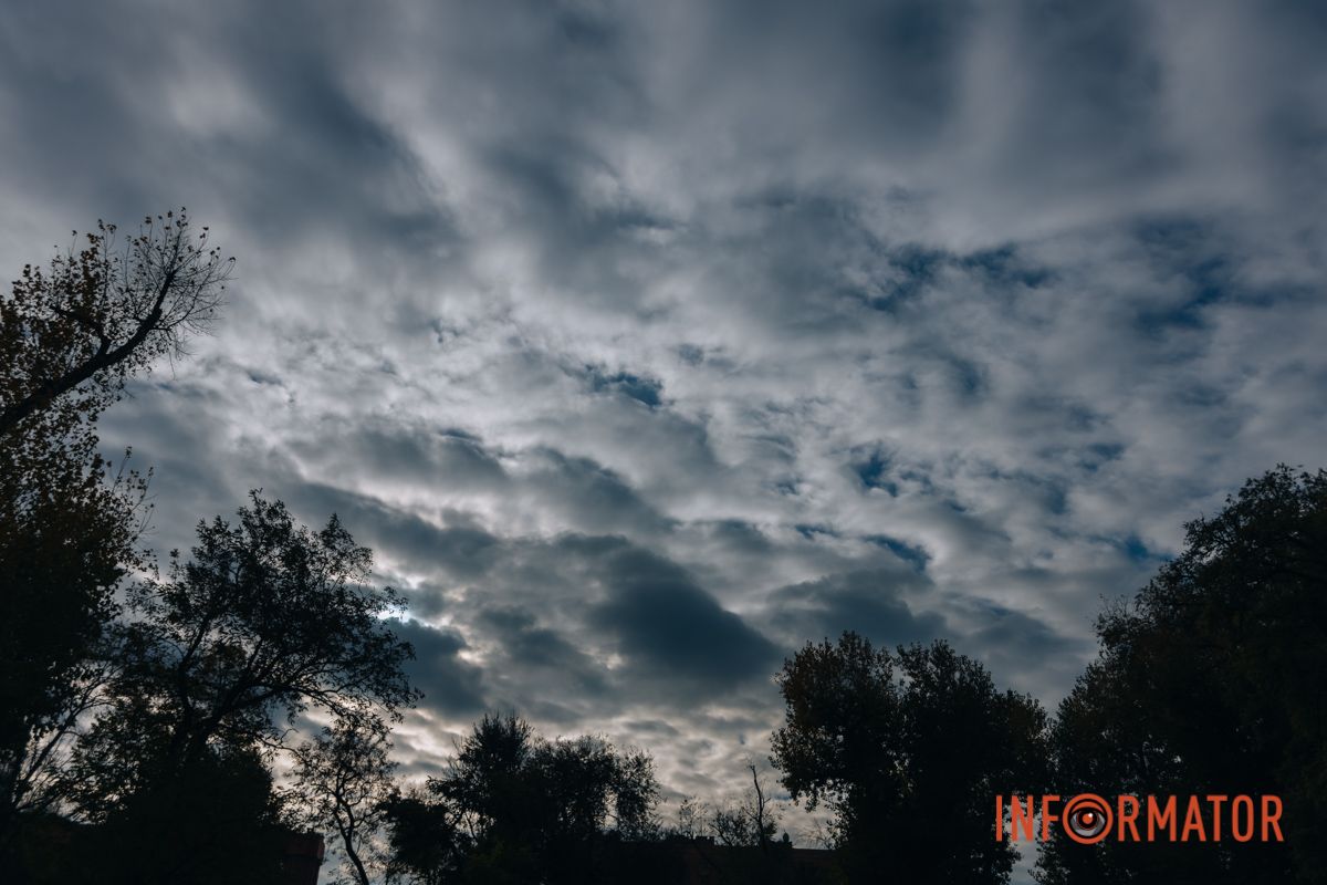 Качки, голуби та опале листя: як парк Глоби у Дніпрі зустрічає листопад 12