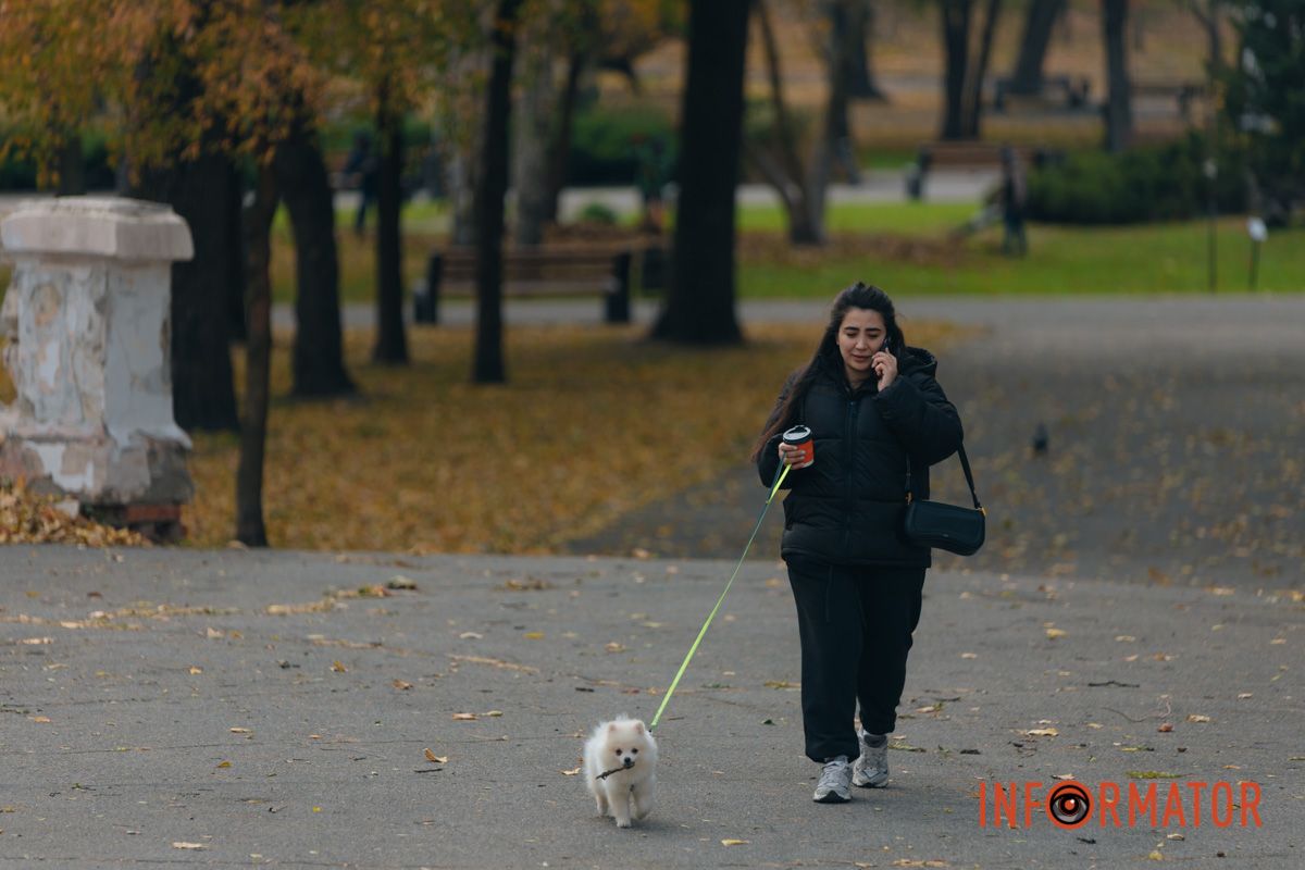 Качки, голуби та опале листя: як парк Глоби у Дніпрі зустрічає листопад 13