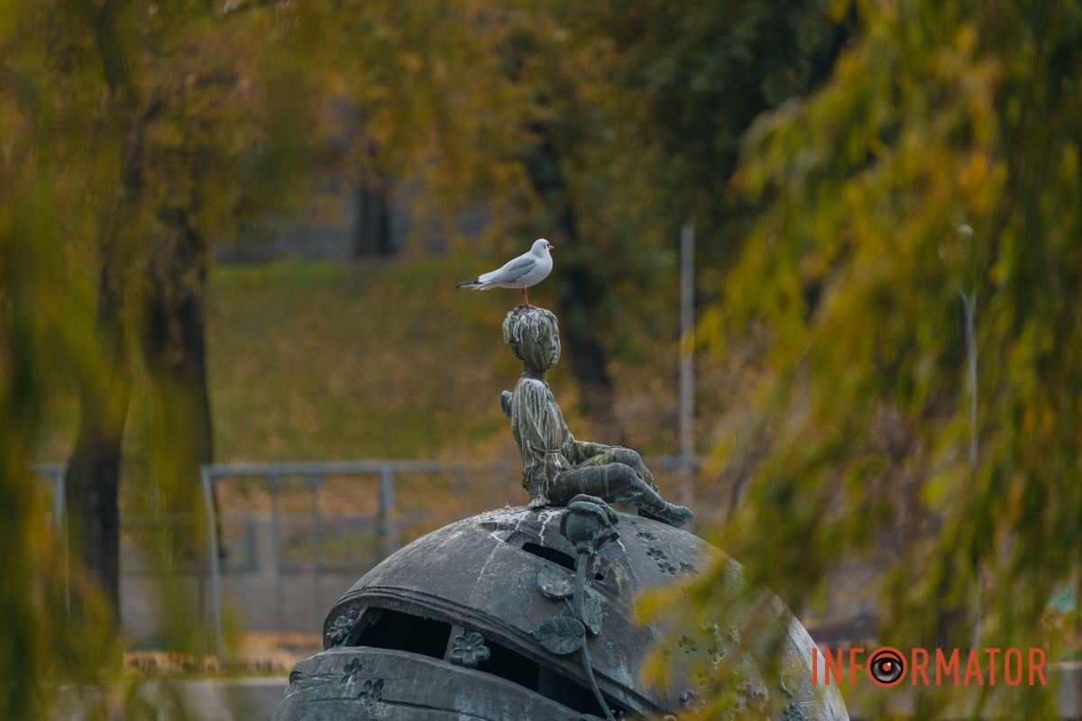 Качки, голуби та опале листя: як парк Глоби у Дніпрі зустрічає листопад 18