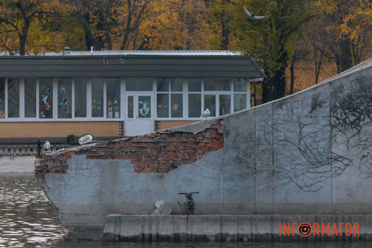 Качки, голуби та опале листя: як парк Глоби у Дніпрі зустрічає листопад 33