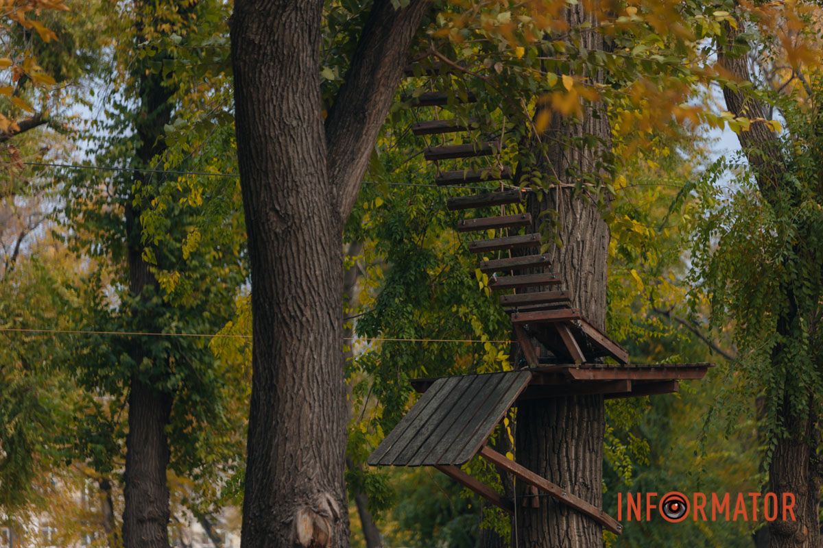 Качки, голуби та опале листя: як парк Глоби у Дніпрі зустрічає листопад 31