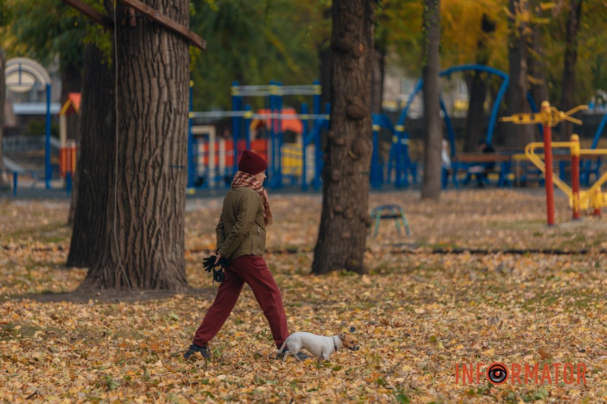 Качки, голуби та опале листя: як парк Глоби у Дніпрі зустрічає листопад 34