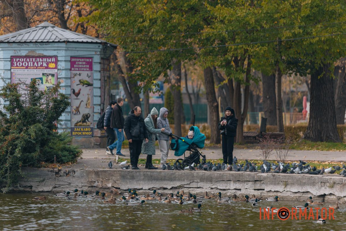 Качки, голуби та опале листя: як парк Глоби у Дніпрі зустрічає листопад 35