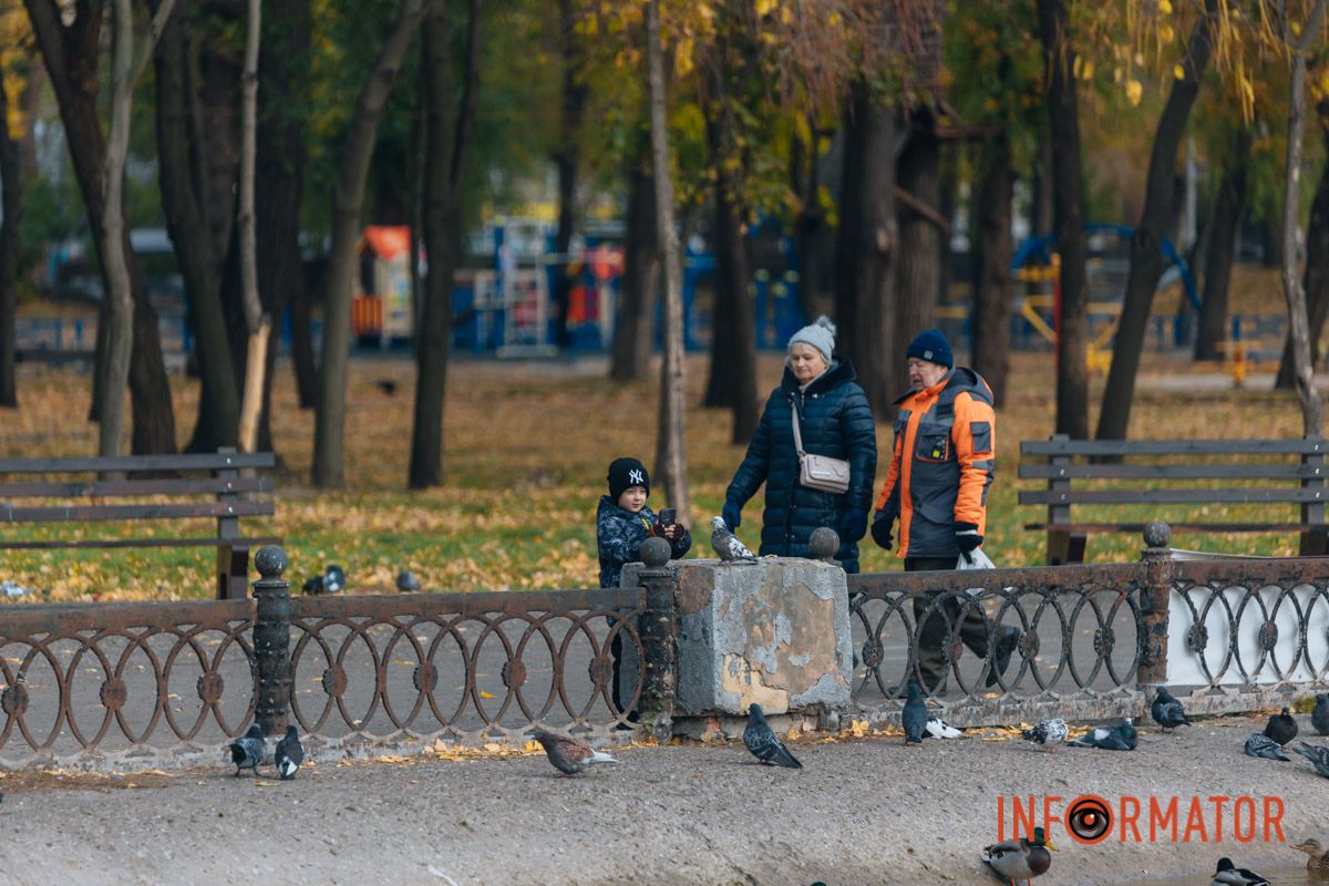 Качки, голуби та опале листя: як парк Глоби у Дніпрі зустрічає листопад 38