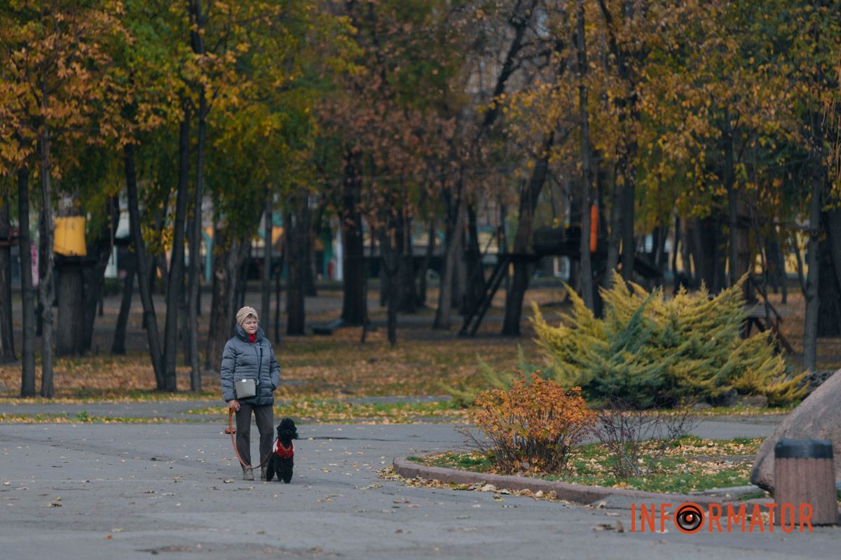 Качки, голуби та опале листя: як парк Глоби у Дніпрі зустрічає листопад 46
