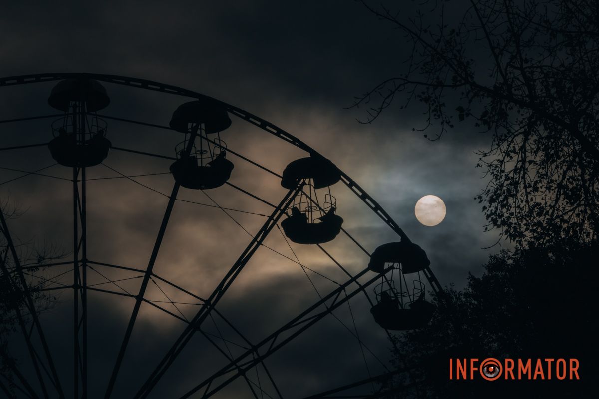 Качки, голуби та опале листя: як парк Глоби у Дніпрі зустрічає листопад 48