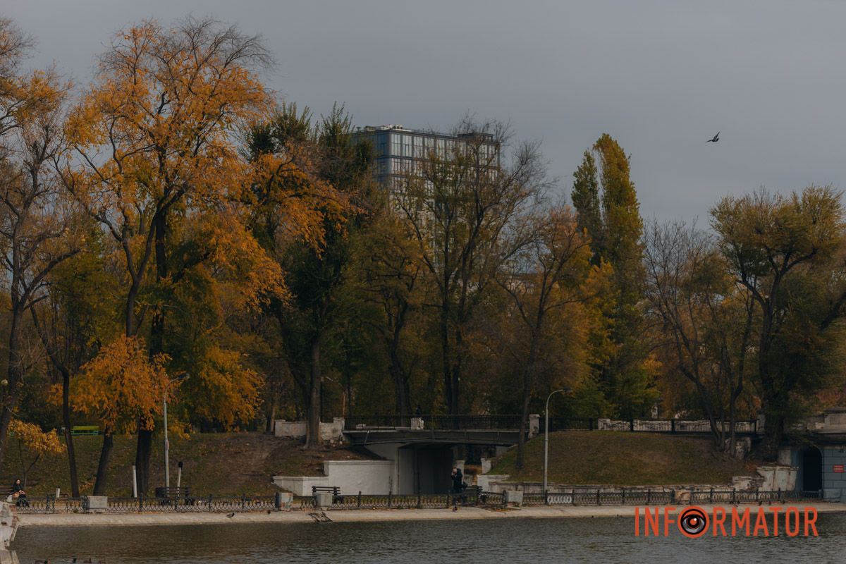 Качки, голуби та опале листя: як парк Глоби у Дніпрі зустрічає листопад 45