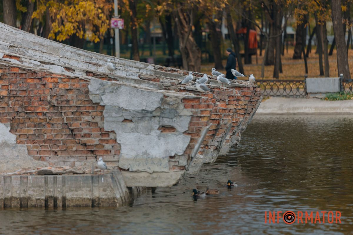 Качки, голуби та опале листя: як парк Глоби у Дніпрі зустрічає листопад 43