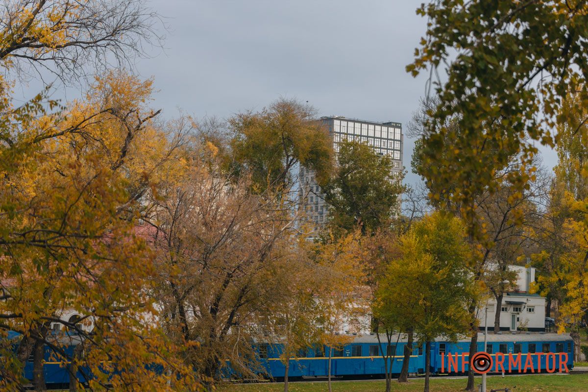 Качки, голуби та опале листя: як парк Глоби у Дніпрі зустрічає листопад 51